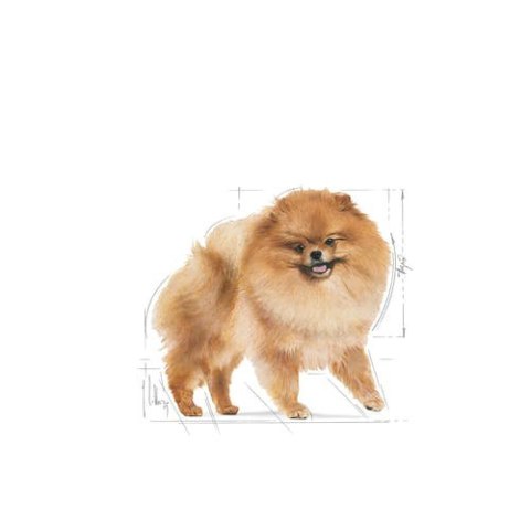 ROYAL CANIN Pomeranian Adult 3kg Royal Canin