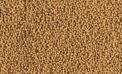 Tetra Pond Sticks Mini 1l TETRA