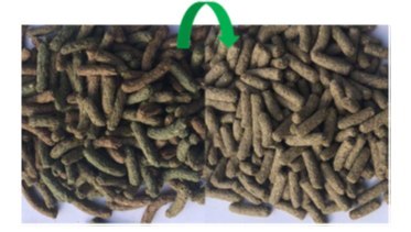 Versele-Laga Cuni Sensitive Complete - Pokarm Dla Królików 1,75kg Versele-Laga