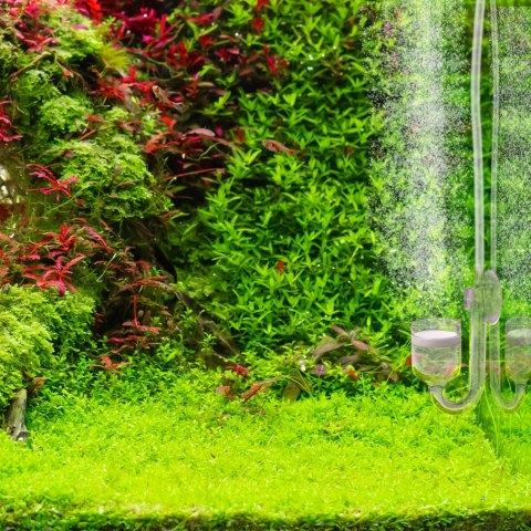 Aquario Professional 2.0 - zestaw CO2 z elektrozaworem + butla 8l Aquario