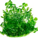 Kruger Meier Plant Lucky Clover - roślinka sztuczna Kruger Meier