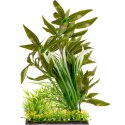 Kruger Meier Kruger Meier Plant Mixed Set - roślinka sztuczna