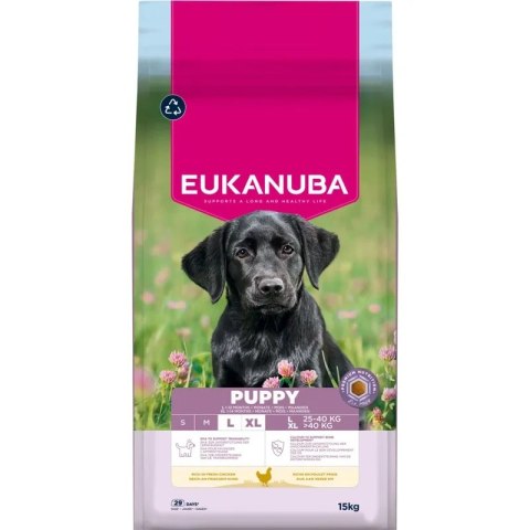 Eukanuba Puppy&Junior Large Breed 15kg Eukanuba