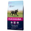 Eukanuba Puppy&Junior Large Breed 15kg Eukanuba
