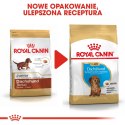 ROYAL CANIN Dachshund Puppy 1,5kg Royal Canin