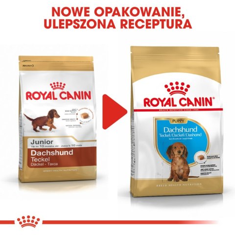ROYAL CANIN Dachshund Puppy 1,5kg Royal Canin
