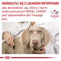 ROYAL CANIN Hypoallergenic 200g Royal Canin weterynaria