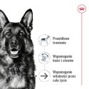 ROYAL CANIN Maxi Ageing 8+ 15kg Royal Canin