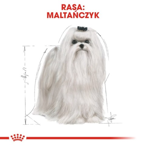 ROYAL CANIN Maltese Adult 500g Royal Canin