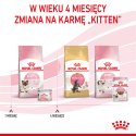 ROYAL CANIN Mother & Babycat Ultra Soft Mousse 195g Royal Canin