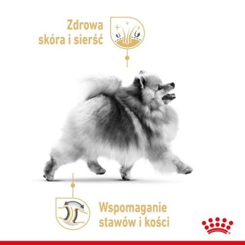 ROYAL CANIN Pomeranian Adult 500g Royal Canin