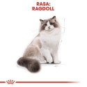 ROYAL CANIN Ragdoll Adult 400g Royal Canin