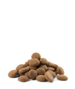 Versele-Laga Opti Life Adult Maxi Kurczak Z Ryżem 12,5kg Versele-Laga