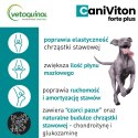 Vetoquinol Caniviton Forte Plus 90szt Vetoquinol