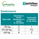 Vetoquinol Caniviton Forte Plus 90szt Vetoquinol