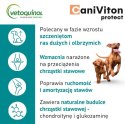 Vetoquinol Caniviton Protect 90szt Vetoquinol