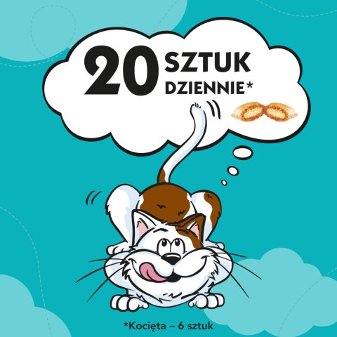 DREAMIES Przysmak Dla Kota Z Łososiem 60g Dreamies