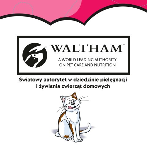 DREAMIES Przysmak Dla Kota Z Wołowiną 60g Dreamies