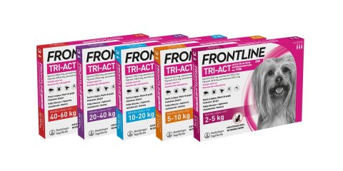 FRONTLINE Tri-Act Dla Psów 3x2ml Frontline (Boehringer Ingelheim)