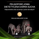 PURINA Pro Plan Veterinary Diets HA Hypoallergenic Dog 11kg PRO PLAN Veterinary Diets