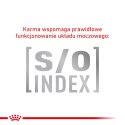 ROYAL CANIN Anallergenic Cat 2kg Royal Canin weterynaria
