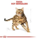 ROYAL CANIN Bengal Adult 10kg Royal Canin
