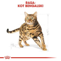 ROYAL CANIN Bengal Adult 10kg Royal Canin
