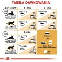 ROYAL CANIN Bengal Adult 10kg Royal Canin
