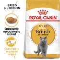 ROYAL CANIN British Shorthair Adult 2kg Royal Canin