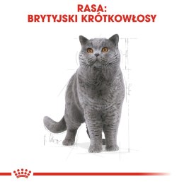 ROYAL CANIN British Shorthair Adult 2kg Royal Canin