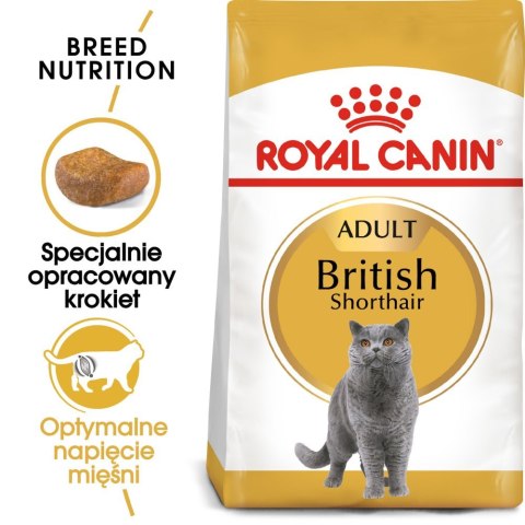 ROYAL CANIN British Shorthair Adult 4kg Royal Canin