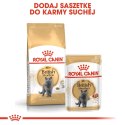 ROYAL CANIN British Shorthair Adult 4kg Royal Canin