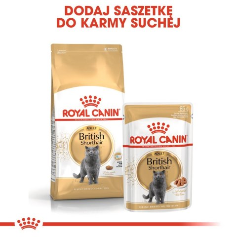 ROYAL CANIN British Shorthair Adult 4kg Royal Canin