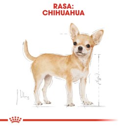 ROYAL CANIN Chihuahua Adult 1,5kg Royal Canin