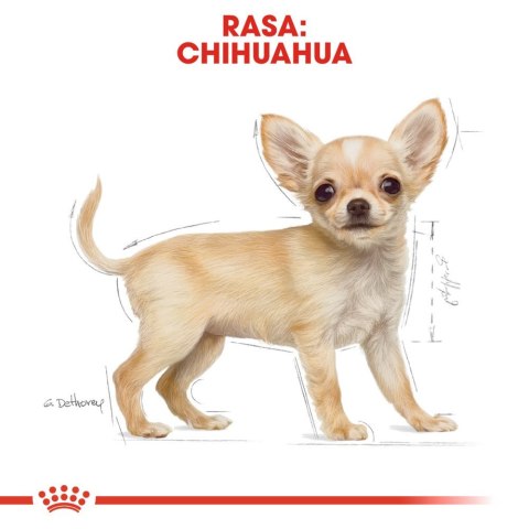 ROYAL CANIN Chihuahua Puppy 1,5kg Royal Canin