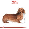 ROYAL CANIN Dachshund Adult 1,5kg Royal Canin