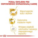 ROYAL CANIN Dachshund Adult 1,5kg Royal Canin