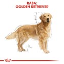 ROYAL CANIN Golden Retriever Adult 12kg Royal Canin