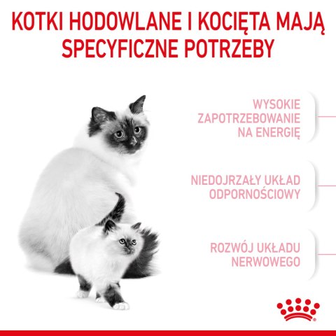 ROYAL CANIN Mother & Baby Cat 400g Royal Canin