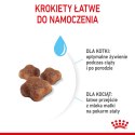 ROYAL CANIN Mother & Baby Cat 400g Royal Canin