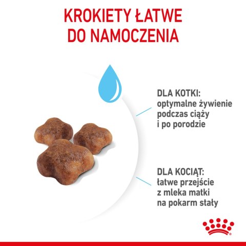 ROYAL CANIN Mother & Baby Cat 400g Royal Canin