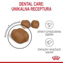 ROYAL CANIN Oral Care 8kg Royal Canin