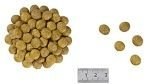 ROYAL CANIN Renal Feline 2kg Royal Canin weterynaria