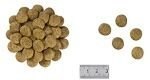ROYAL CANIN Renal Special Canine 2kg Royal Canin weterynaria