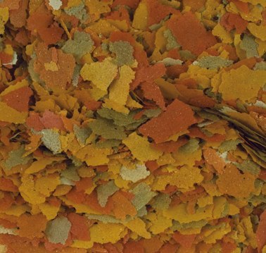 Tropical Goldfish Color 500ml Tropical