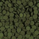 Tropical Super Spirulina Forte 80szt Tablets 50ml Tropical