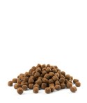 Versele-Laga Opti Life Puppy Sensitive Łosoś Z Ryżem 12,5kg Versele-Laga