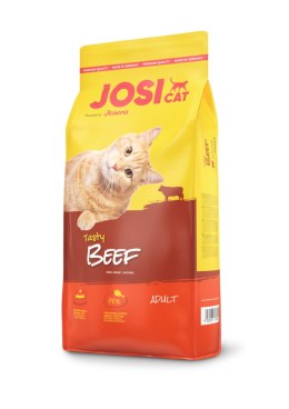 JosiCat Josera Tasty Beef 10kg JosiCat