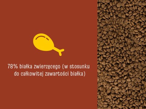 JosiCat Josera Tasty Beef 10kg JosiCat