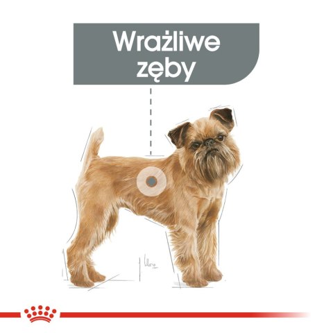 ROYAL CANIN CCN Mini Dental Care 8kg Royal Canin